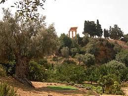 Jardin de la Kolymbethra